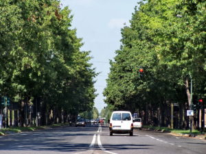 finding my auto insurance online